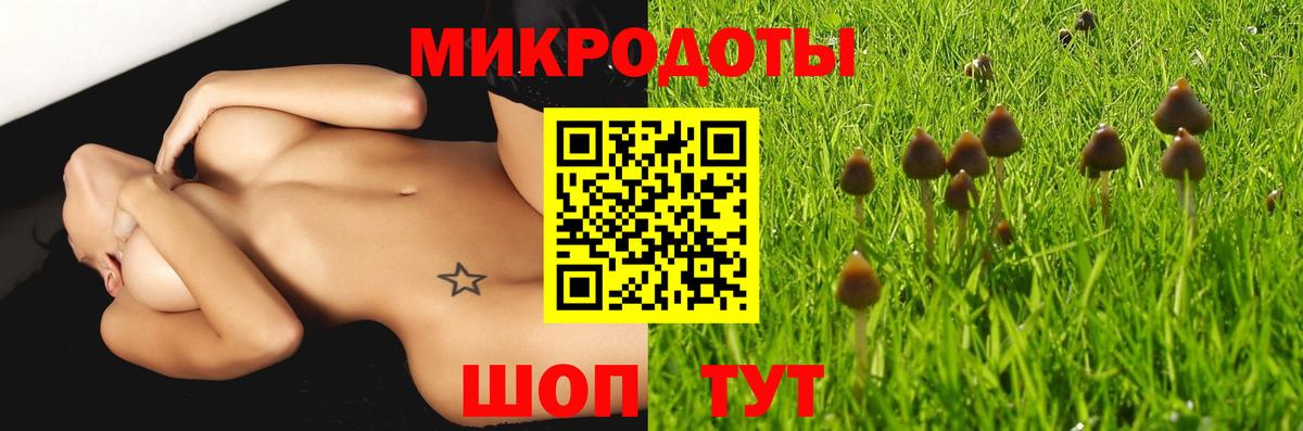 Псилоцибиновые грибы Psilocybine cubensis Черногорск